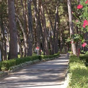 Vila Laguna Galijot Plava Laguna