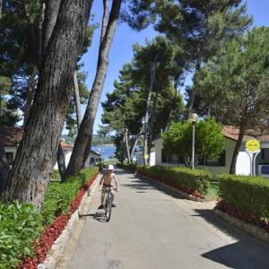 Apartments Galijot Plava Laguna -1